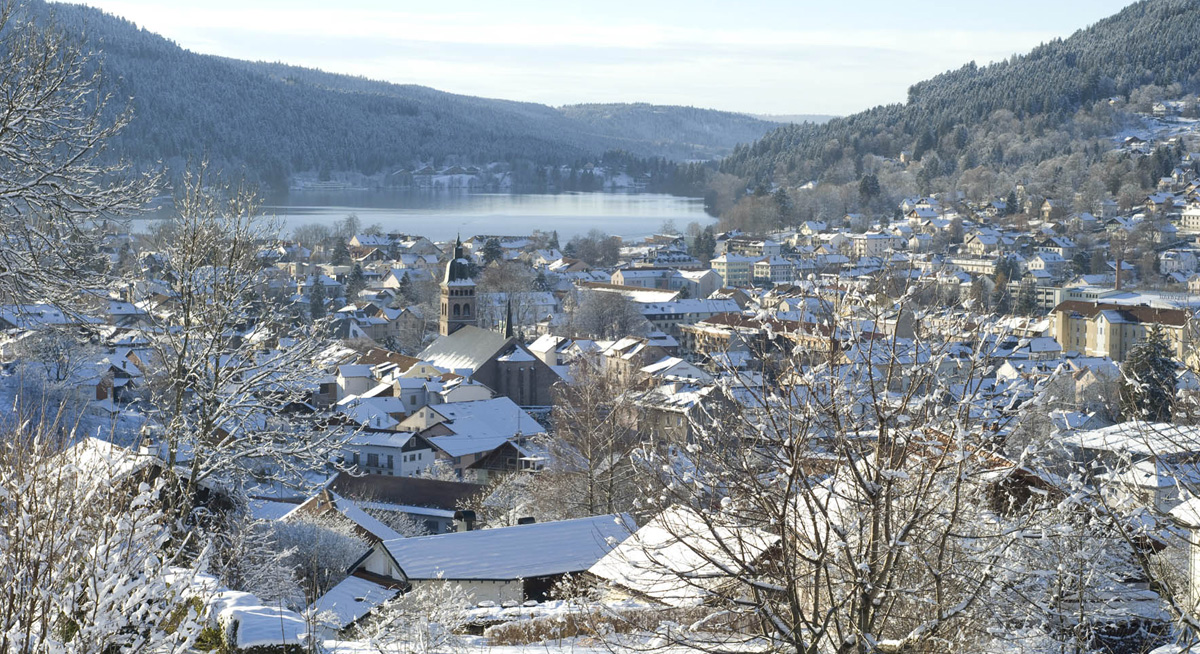 Location d'un chalet de particulier dans les Vosges